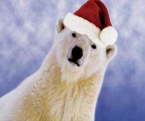 yapboz Kutup ayısı Noel Baba şapkalı